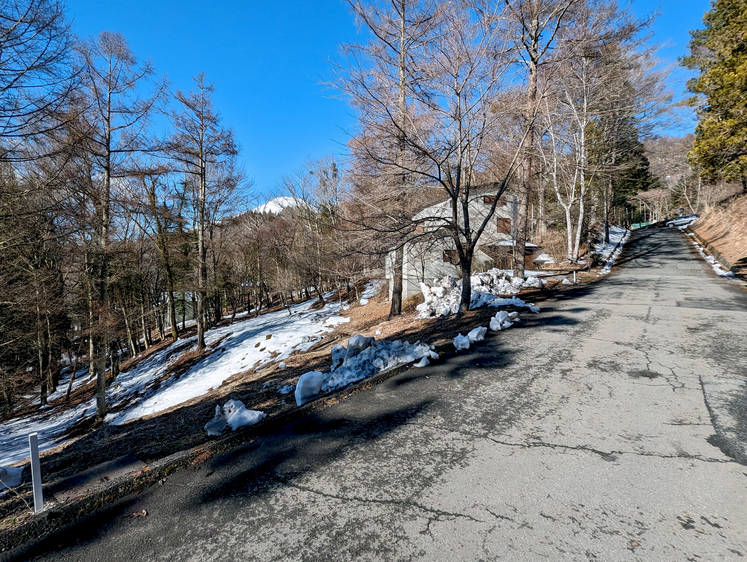 所有権の伐採済み土地